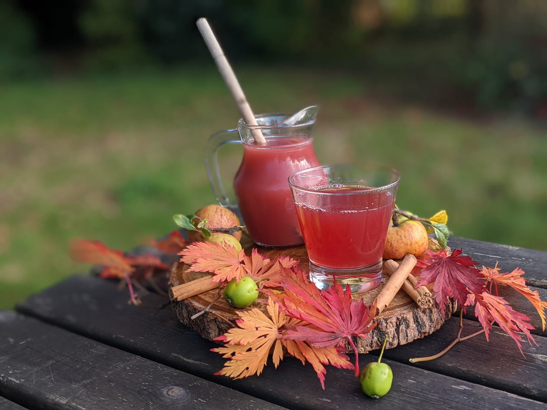 Mulled Apple Cider With Firefolk Tea