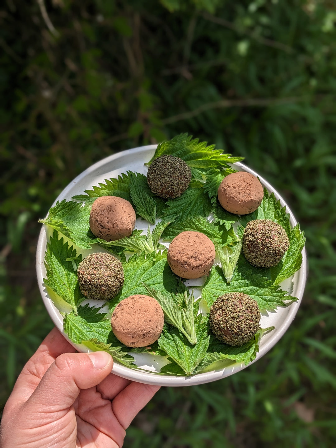 Nettle and Ginger Chocolate Truffles