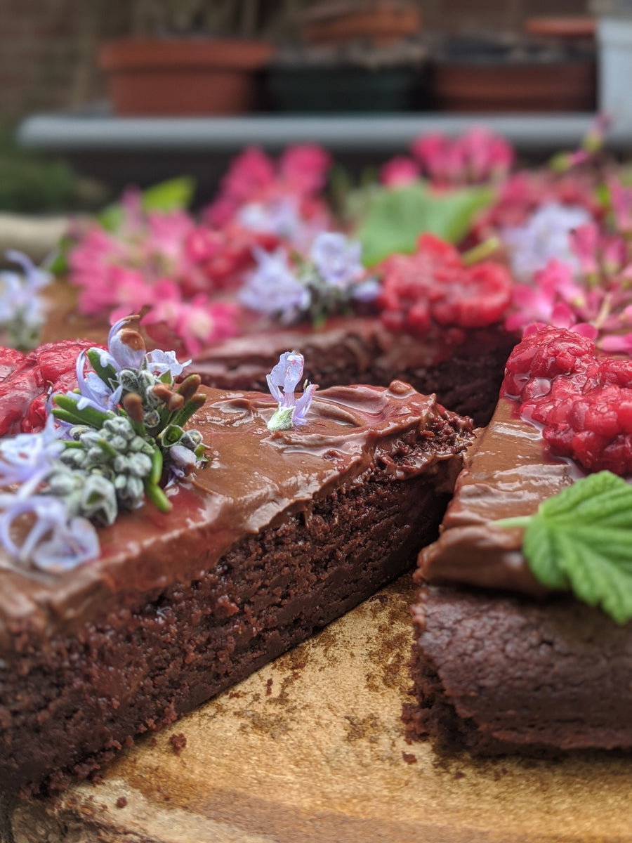 Summer Afternoon Foraging Walk 26th July - Bishop's Stortford