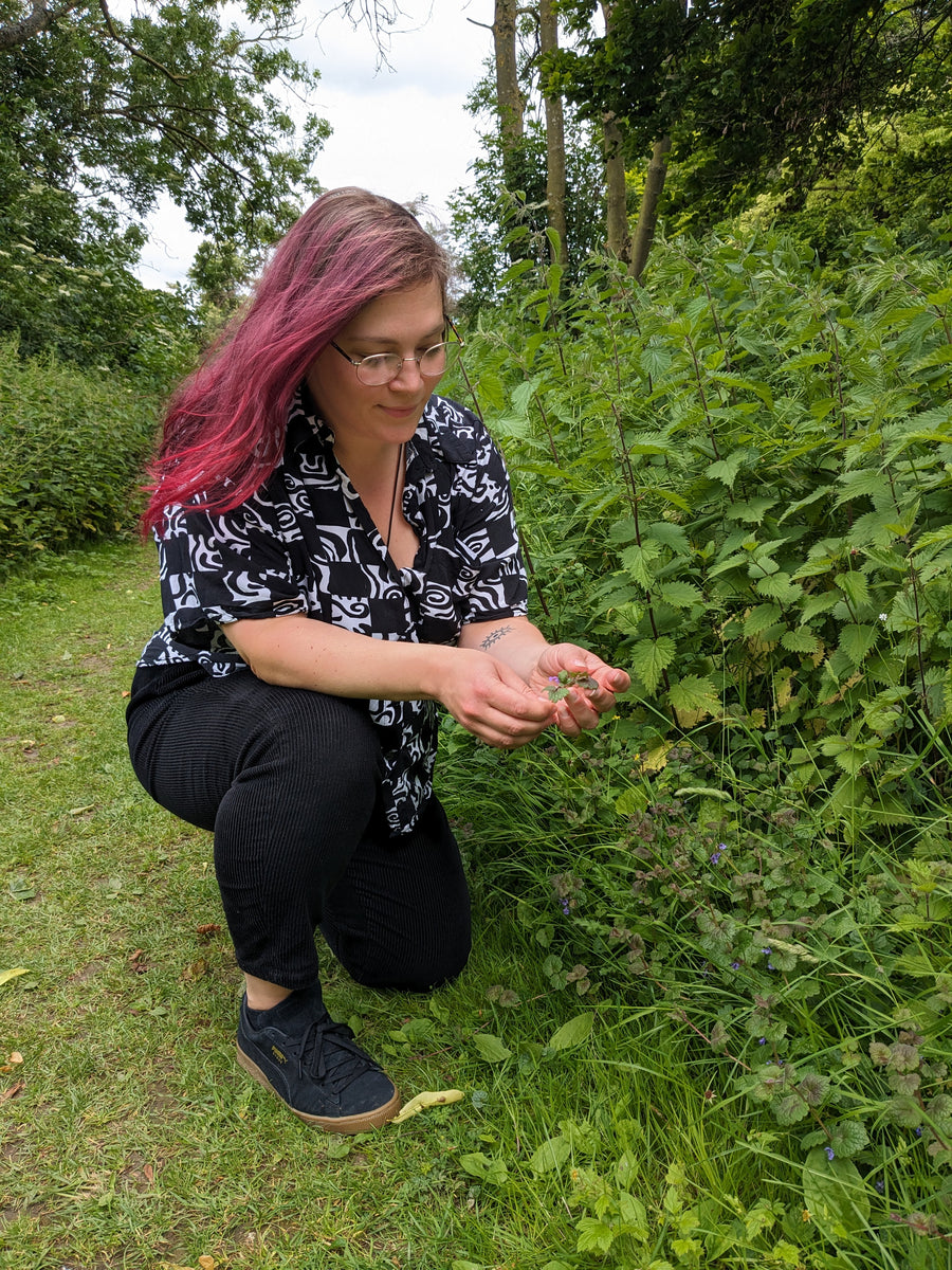 Summer Afternoon Foraging Walk 26th July - Bishop's Stortford