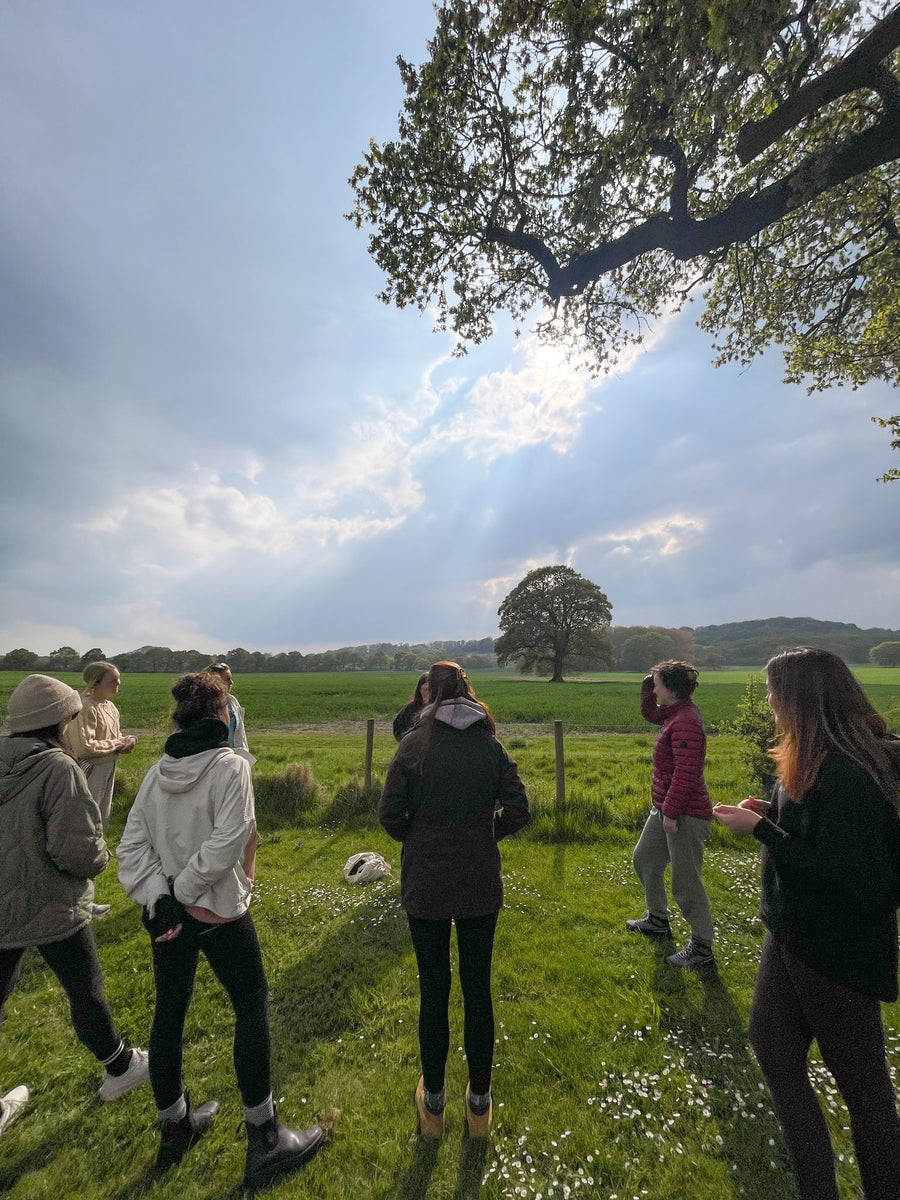 Summer Afternoon Foraging Walk 26th July - Bishop's Stortford