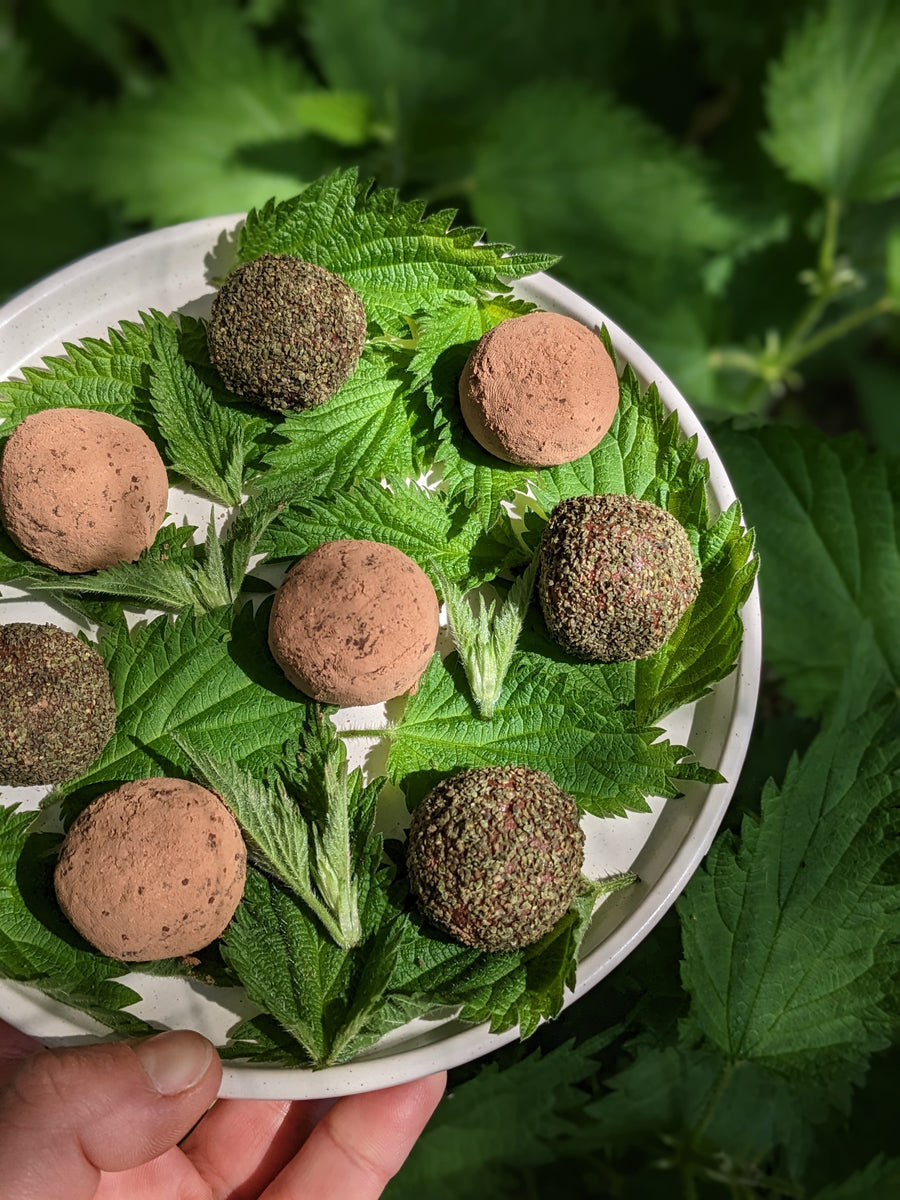 Summer Afternoon Foraging Walk 26th July - Bishop's Stortford