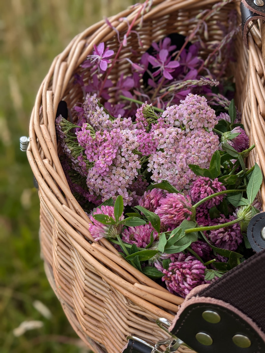 Summer Afternoon Foraging Walk 26th July - Bishop's Stortford