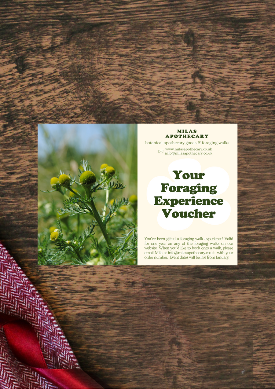 Foraging Walk Voucher